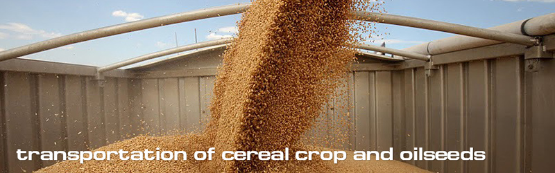 transportation oilseeds