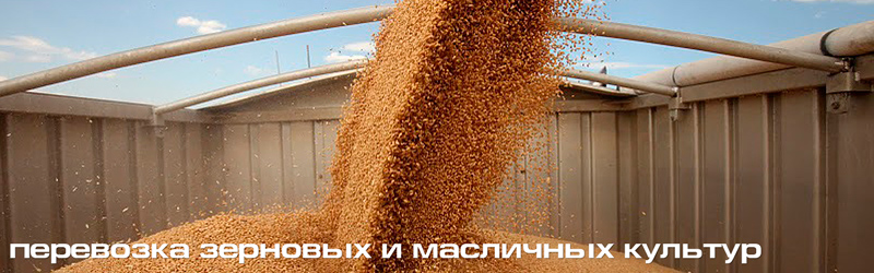Перевозка зерна